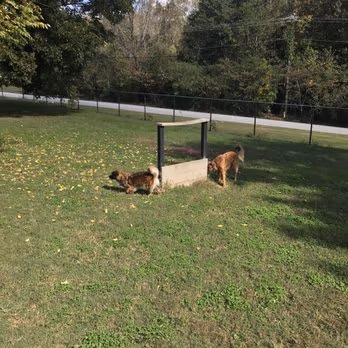 Dog Park at Pelham Mill Park photo 1